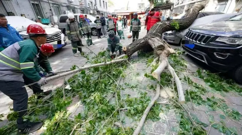 رياح عاتية تقترب. كيف نحل مشكلة حماية المباني؟ رياح عاتية تقترب. كيف نحل مشكلة حماية المباني؟